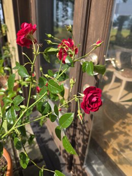 2026.06.09_redribbon1.jpg